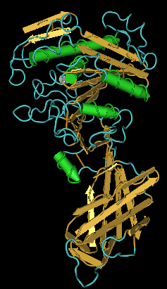 Representación generada por computadora de un tipo de lipasa pancreática (PLRP2) del conejillo de Indias