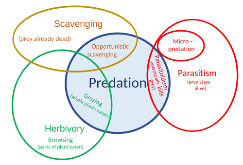 Diagrama de relaciones alimentarias
