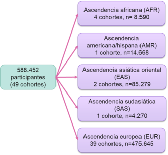 Representación de los participantes en el estudio genómico