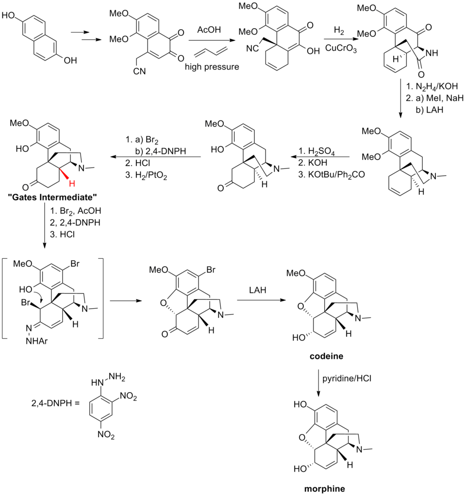 Esquema de síntesis química