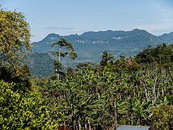Peñas Blancas, parte de la Reserva de la Biosfera Bosawás en Nicaragua