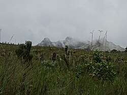 Páramo de la Yerbabuena en Colombia