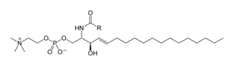 Estructura de la esfingomielina