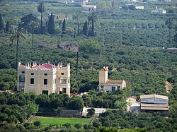Huerta de naranjos en Alcira, España, un paisaje agrícola característico de regadío mediterráneo.