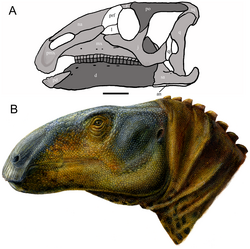 Recreación de la cabeza de un dinosaurio