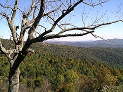 Paisaje boscoso al oeste de las montañas Blue Ridge
