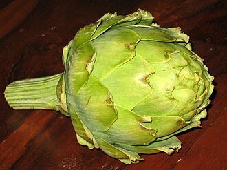 Botón de Cynara scolymus crudo