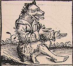 Ilustración de los cynamolgi
