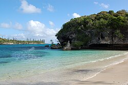 Vegetación típica de la Isla de los Pinos en Nueva Caledonia