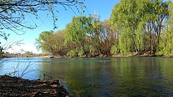 Vista del río Negro en verano