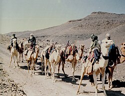 Caravana en el Sahara argelino en 1990