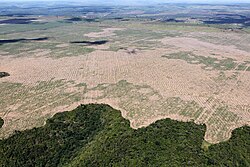 Deforestación en Maranhão, Brasil