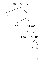Representación como árbol sintáctico de la estructura interna del sintagma complementante o periferia izquierda de la oración de acuerdo con Rizzi (1997).