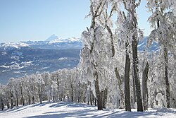 Paisaje invernal en Chapelco en la Provincia de Neuquén