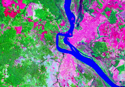 Isla fluvial Suárez