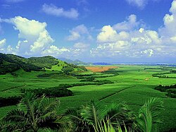 Plantaciones de caña de azúcar en Mauricio