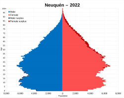 Pirámide de población de Neuquén según el Censo 2022