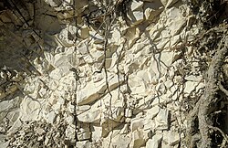 Yacimiento de piedra caliza en el karst de los Alpes Dináricos
