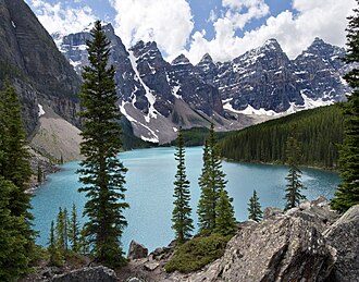 Bosque de las Montañas Rocosas de Canadá
