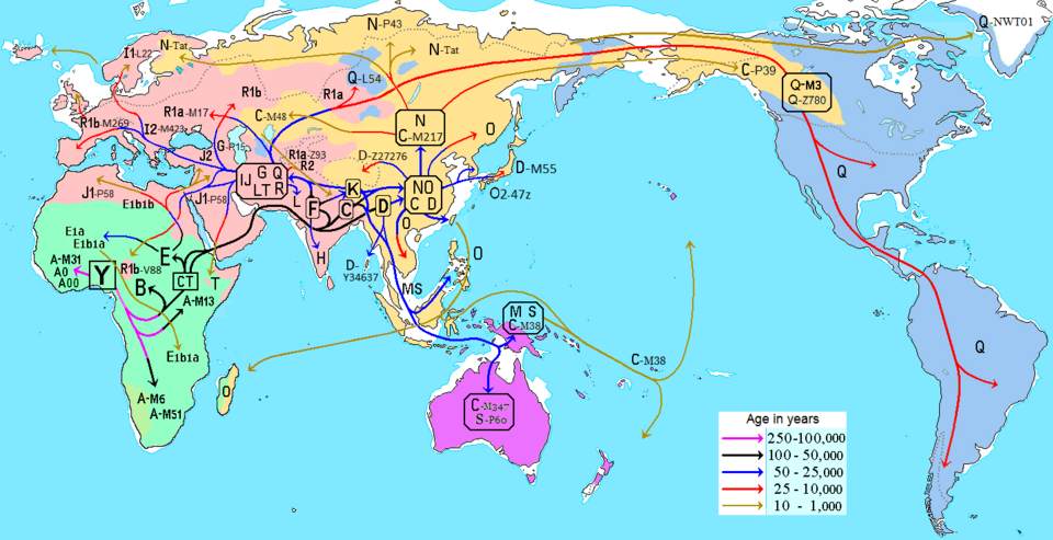 Mapa de distribuciones de haplogrupos del cromosoma Y humano