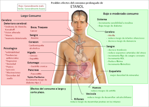 Esquema sobre los efectos del alcohol en el cuerpo humano