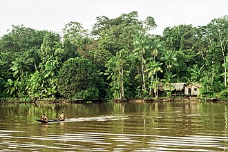 Vista del río Amazonas y su entorno natural