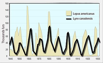 Gráfico de depredador y presa