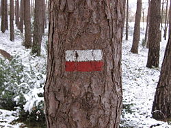 Marca de sendero en un árbol