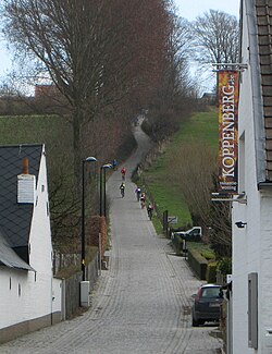 Vista del Koppenberg desde Melden