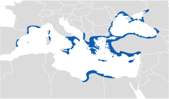 Mapa del mundo griego a mediados del siglo VI a. C.