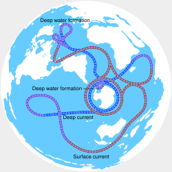 Circulación termohalina global