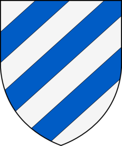 Representación gráfica de los colores institucionales del club.