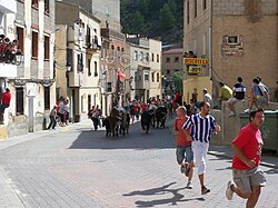 Encierro de Molinicos