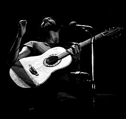 Stevens en concierto en Böblingen, Alemania, en 1976