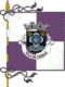Escudo y elementos gráficos institucionales