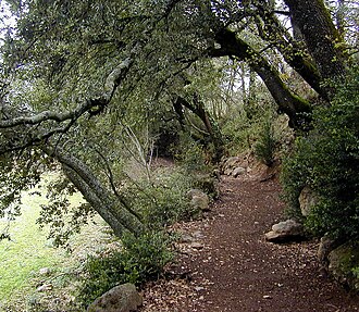 Camino rural que se extiende desde Serraduy hacia la Sierra de Sis.