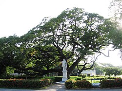 Quinta de San Pedro Alejandrino