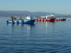 Buques de pesca artesanal faenando en aguas costeras