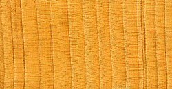 Textura de la madera de cedro