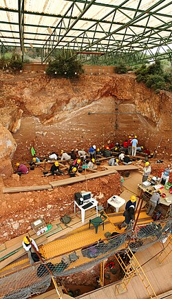 Excavación arqueológica en Gran Dolina, Atapuerca