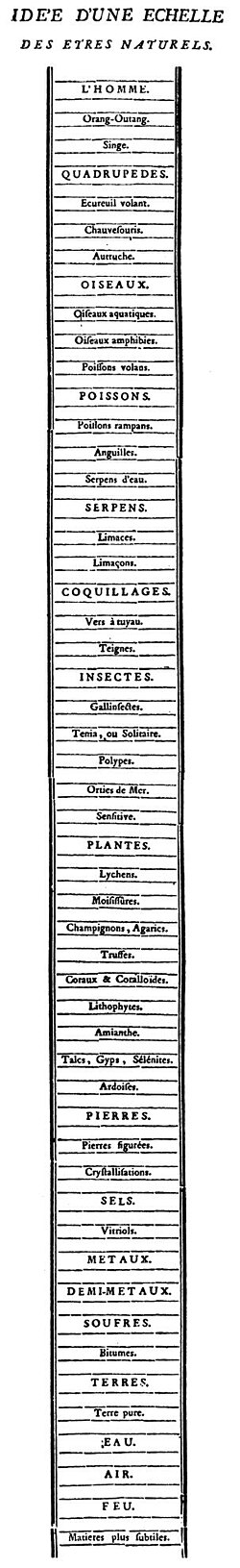Representación de la cadena de los seres