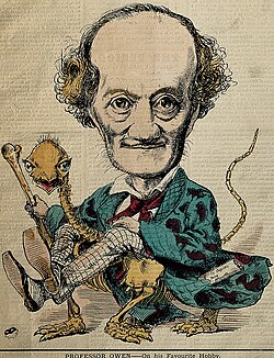 Caricatura de Richard Owen de 1870