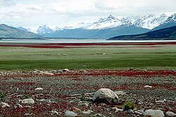 Paisaje de la estepa y cordillera patagónica