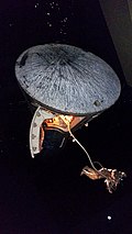 Cápsula Gemini 5