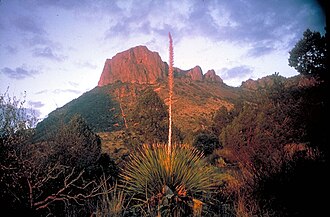 Área natural protegida en el desierto