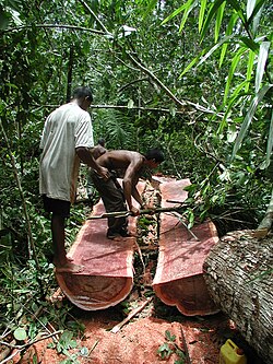 Explotación forestal