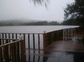 Paisaje acuático durante una jornada de precipitaciones.