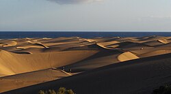 Complejo de dunas costeras de Maspalomas