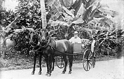 El gobernador alemán Wilhelm Solf en Apia en 1910