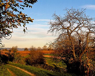 Paisaje de otoño con vegetación característica